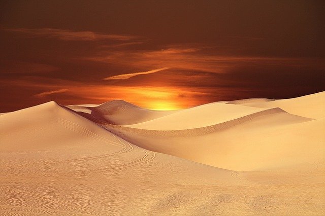 desert-tour in Qatar
