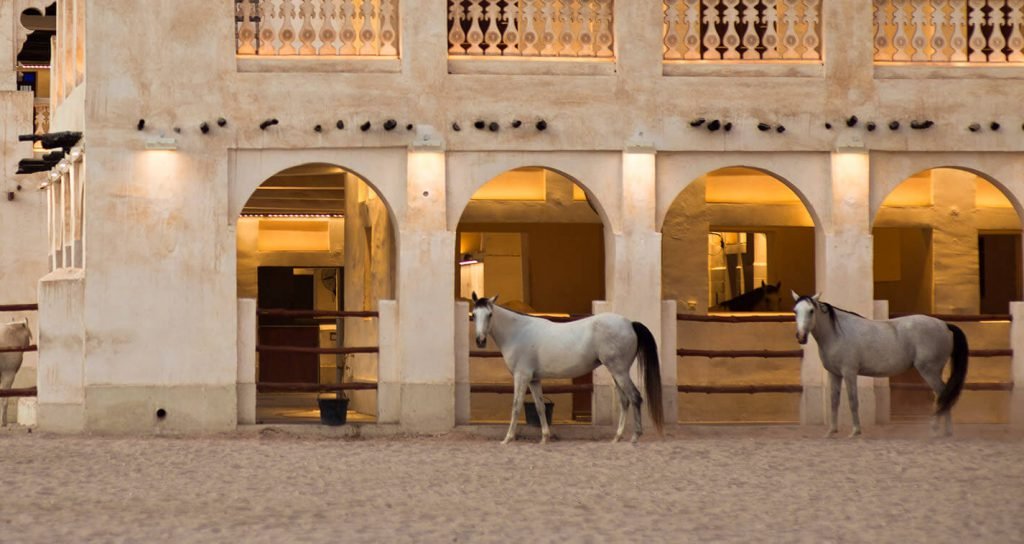 horse stables souq