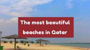 The most beautiful beaches in Qatar