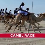 camel race in doha qatar
