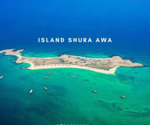 Shura Awa (2)
