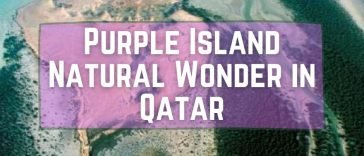 Purple Island