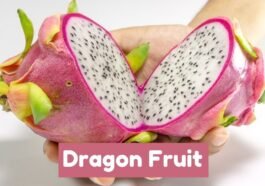 Dragon Fruit