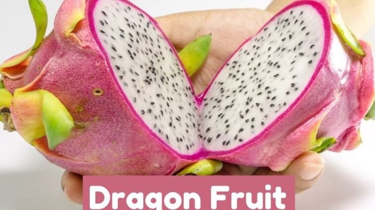 Dragon Fruit