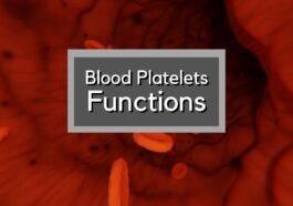 Blood Platelets Functions