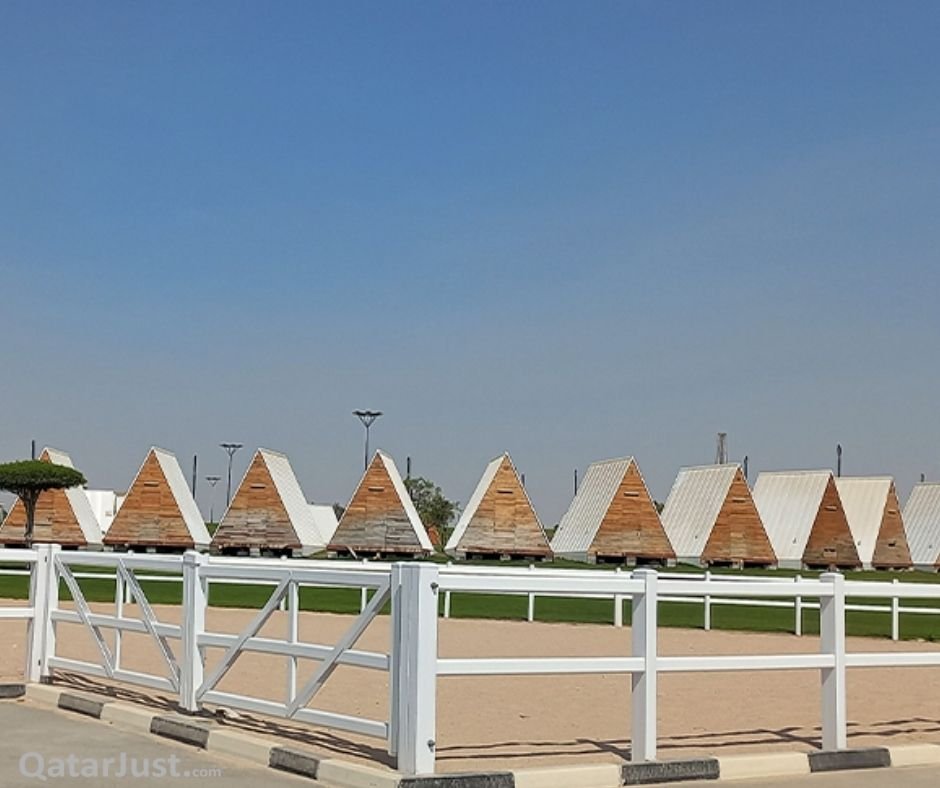 Horse and Camel - Al Bayt Park