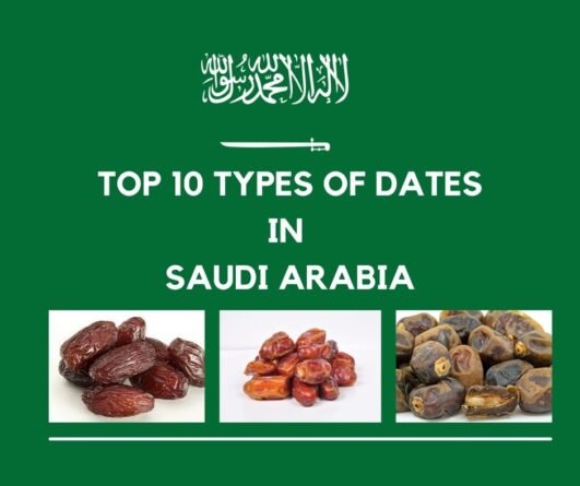 top-10-types-of-dates-in-saudi-arabia