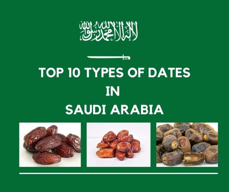 Top 10 Types of Dates in Saudi Arabia