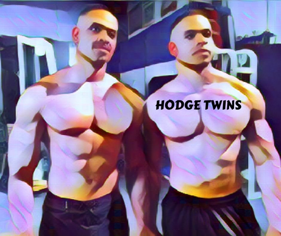 Hodge Twins
