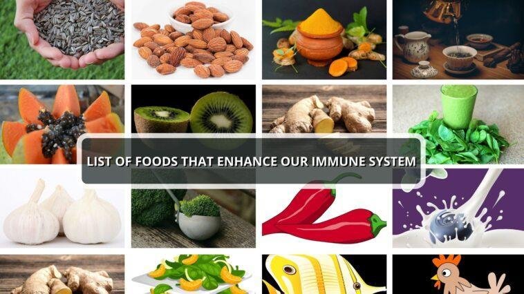 List of foods that enhance our Immune system