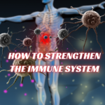 How to strengthen the Immune system