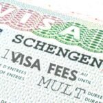 Visa Fees