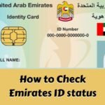 How to Check Emirates ID status (1)