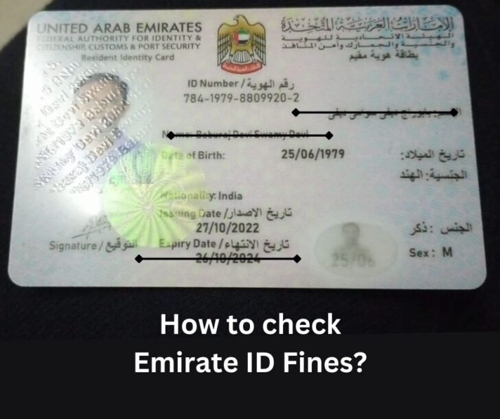 How To Check Emirate ID Fines?