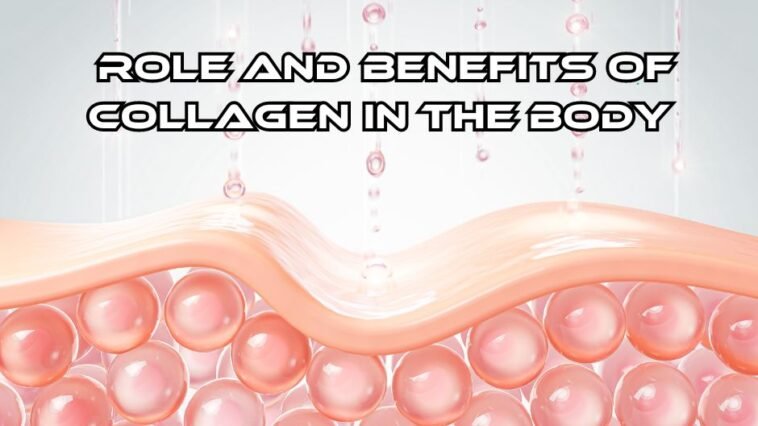 The Role and Benefits of Collagen in the Body