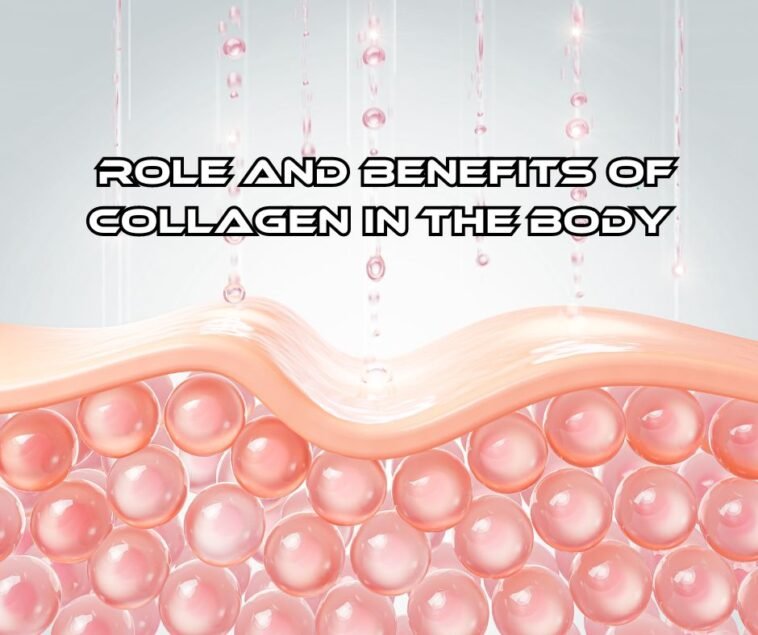 The Role and Benefits of Collagen in the Body