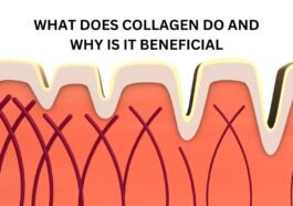 What Does Collagen Do and Why Is It Beneficial