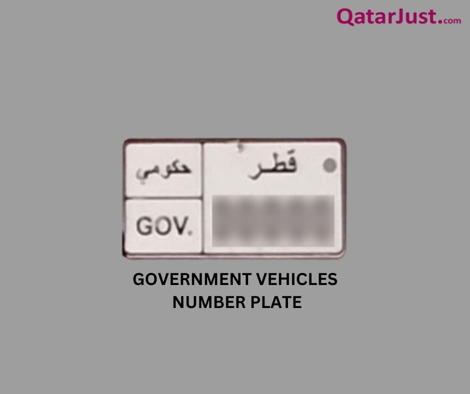 Government Vehicles