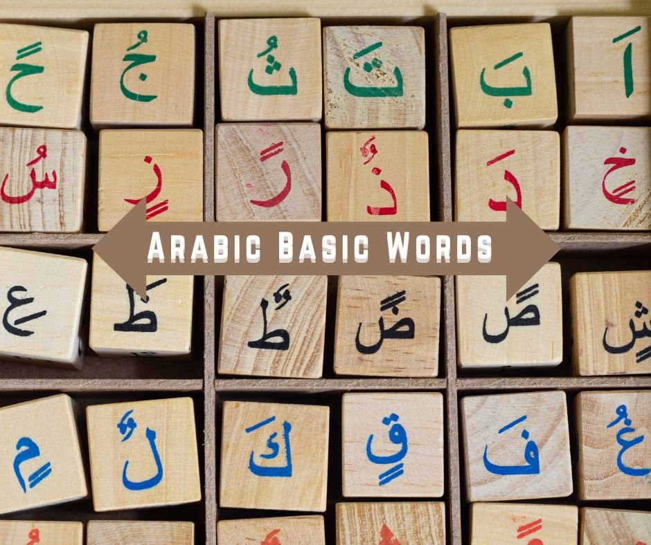 Arabic Basic Words for Everyday Use